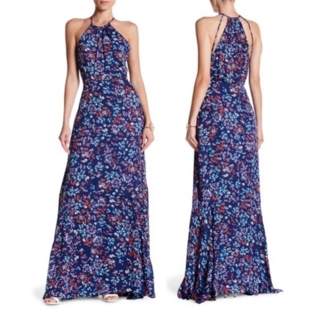 Parker Floral Maxi Dress - Blue and Red